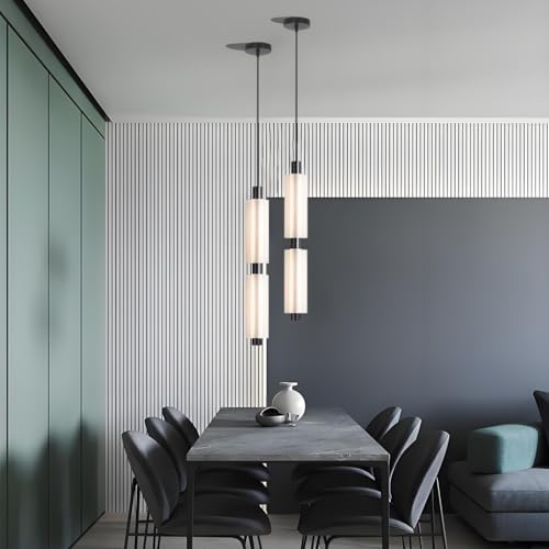 Lámpara colgante moderna de interior LED con luz cálida ajustable para sala de estar 2