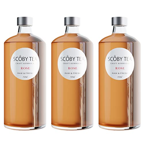 �y3�{�Z�b�g�z���Y�� �R���u�`�� �t���[�o�[�F���[�Y 750ml ����M ���h�� �u�������[�ɂ��n���h���C�h �bSCOBY TEA