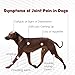 Joint MAX Double Strength Soft Chews for Dogs - Vitamins, Minerals, Antioxidants - Glucosamine, Chondroitin - Beef Flavor - Maximum Joint Health Supplement - 120 Chews