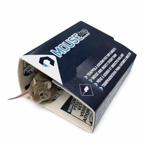 10 uds Trampas para Ratones   Cebo Raton   Trampa Ratones   Ratoneras para Atrapar Ratoness   Trampa para Ratones   Pegamento Ratoncito   Atrapa Raton   Cepos para Ratones   Mouse Trap
