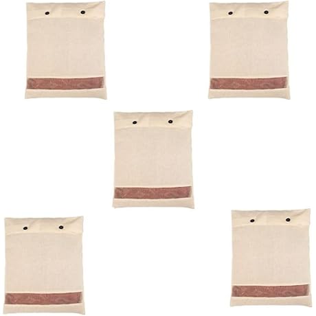 Pack of 5 Saree Storage Bags - Closet Organizers