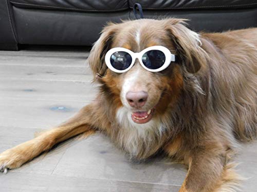 G009 Dog Pet Costume Prop Oval Sunglasses Medium Breeds 20lbs-40lbs (White) - Image 4