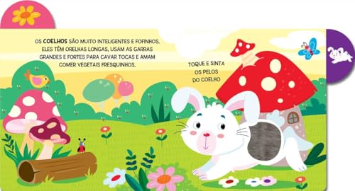 Diversão com os animais do jardim: Diversão com os animais do jardim: - Imagem 3