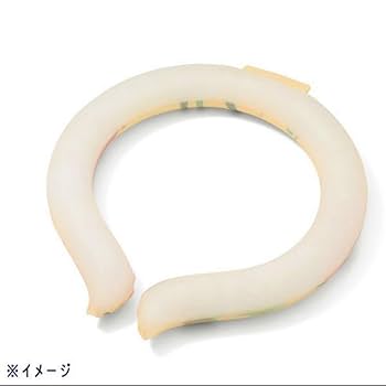 Amazon.co.jp: スマートエコアイス 専用保冷ポーチ付き 日比谷