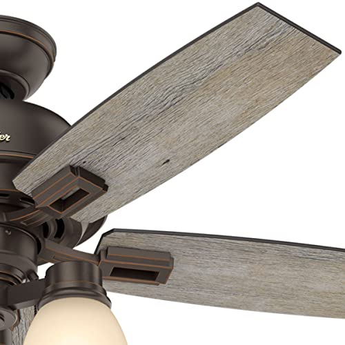 Hunter Fan Company, 52228, 44 Inch Donegan Onyx Bengal Ceiling Fan With Led Light Kit And Pull Chain #TOP5