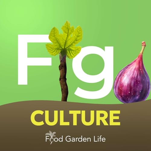 Page de couverture de Fig Culture: Helping You Grow a Fig Tree in a Cold Climate