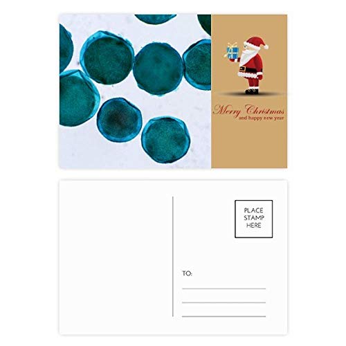 Cartes postales créature bleue Père Noël pour décorer vos tables de réveillon et cadeaux