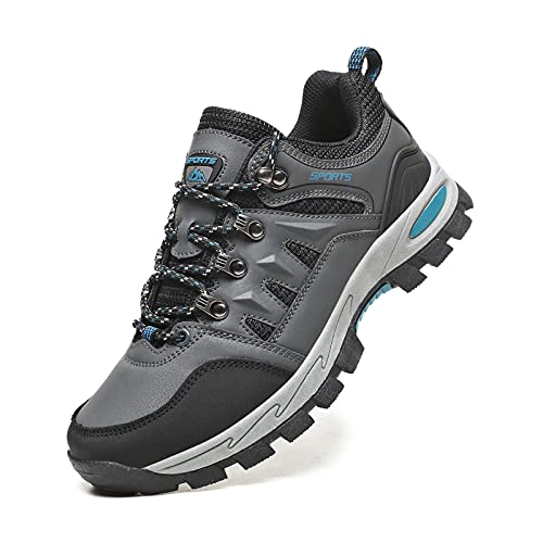 تصادم شجرة توتشي تمطر zapato boriken montaña - muradesignco.com