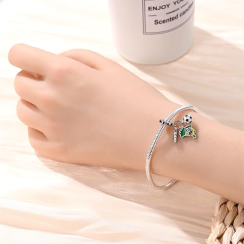 Cute Fashion Love Heart Dangle Charm 925 Sterling Silver Lucky Charm for Woman Bead, Jewelry Beads Gifts for Family Women Bracelet&Necklace.4