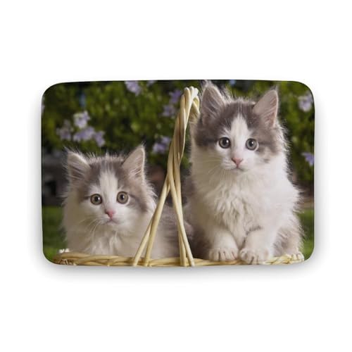 L   oX}bg z/唻 փ}bg  O   傫 ~ Aj LN^[ @}bg   ʏ