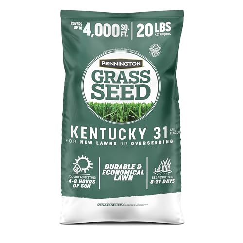 Pennington Kentucky 31 Tall Fescue Grass Seed 20 lb