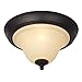 Westinghouse Lighting 6222500 Elena One-Light Interior Flush-Mount Ceiling Fixture, Dark Bronze Finish with Antique Amber Glass