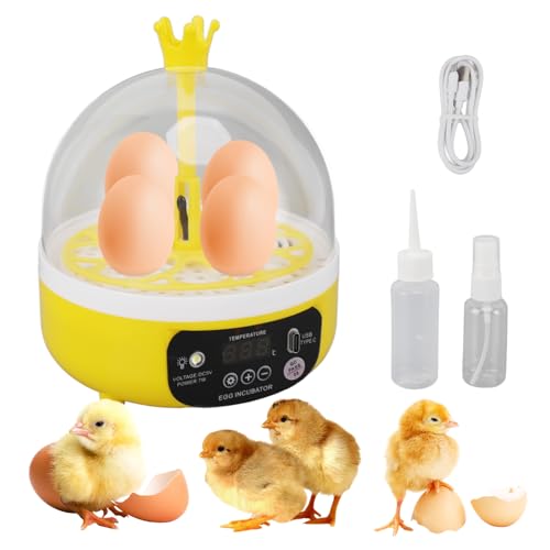 4 Eggs Mini Incubator with Transparent Lid,7W Automatic Temperature Humidity Control,Household Small Poultry Hatching Machine,for Chickens Ducks Pigeons (Auto Turning)