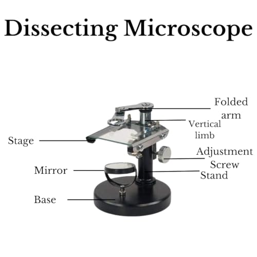 Image of Dissecting Microscope 2 Eye-piece 10x, 20x