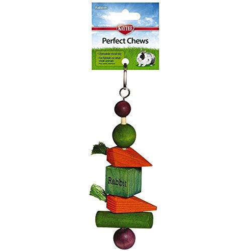 10 Best Toys for Rabbits (Updated for 2023)