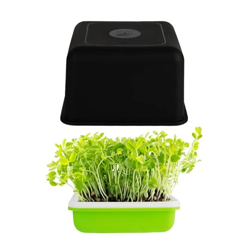 Bandeja germinadora, maceta rectangular para invernadero, kit de cultivo con desagüe, platillos y protección solar