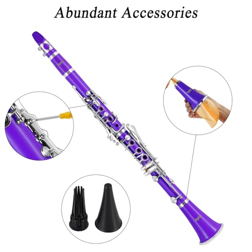 Image of Bb Clarinet 17 Keys Flat B Clarinet for Beginners & Students Purple