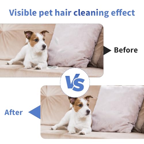 CVASNF 4 Stück Trimmstein für Hunde, Bimsstein Hund Trimmen Haustier Bimsstein Fußpflege Pumice Stone Haarentfernung Tierhaare Hornhautentferner Werkzeug für Couch Möbel Bettwäsc