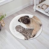 cuccioli scottish fold lombardia 【Soddisfazione al 100%】Consideriamo sempre la soddisfazione dei clienti come la nostra principale priorità.Se non siete soddisfatti del nostro prodotto,non esitate a contattarci,vi forniremo una soluzione soddisfacente.