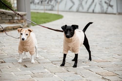 Kentucky - Hundepullover - Teddy Fleece - Beige - Größe SM