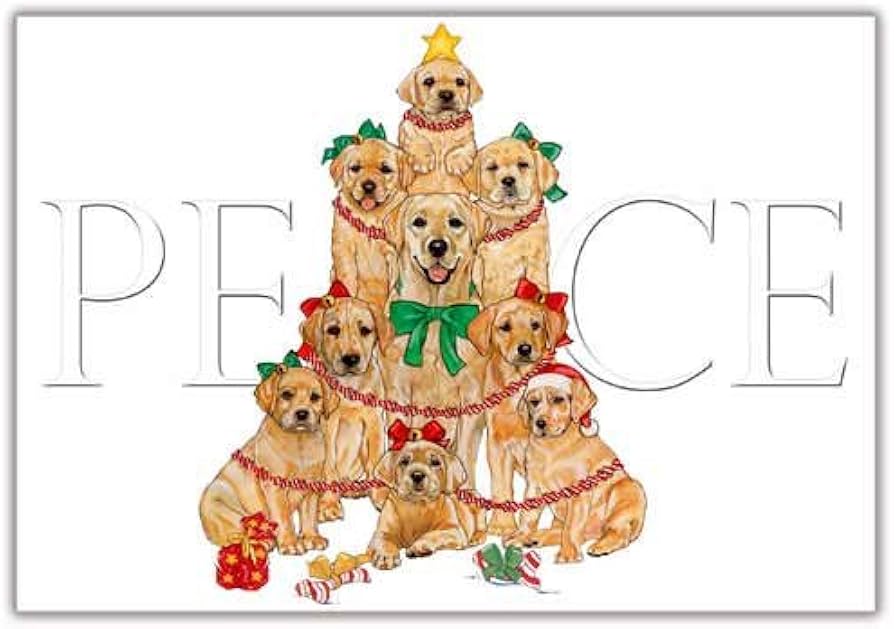Labrador christmas cards Clearance