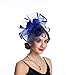SAFERIN Fascinator Feather Mesh Net Veil Wedding Church Tea Party Hat Flower Derby Hat Women Girl (TA1-Sapphire Blue)