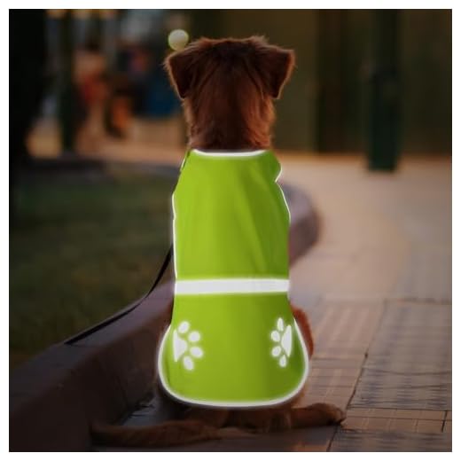 Candofly Reflective Dog Vest for Safety - High Visibility Fluorescent Pet Vest Lightweight Jacket Dog Clothes Reflective Dog Harness for Night Walking Hunting Camping (Neon Green, Medium)