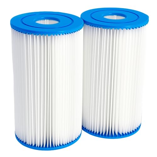 Gewxgzo Type B Pool Filter Cartridge Compatible with in-tex 2500 GPH Filter Pump for Above Ground Pools, 29005E Easy Set Swimming Pool Filter Cartridge (2 Pack)