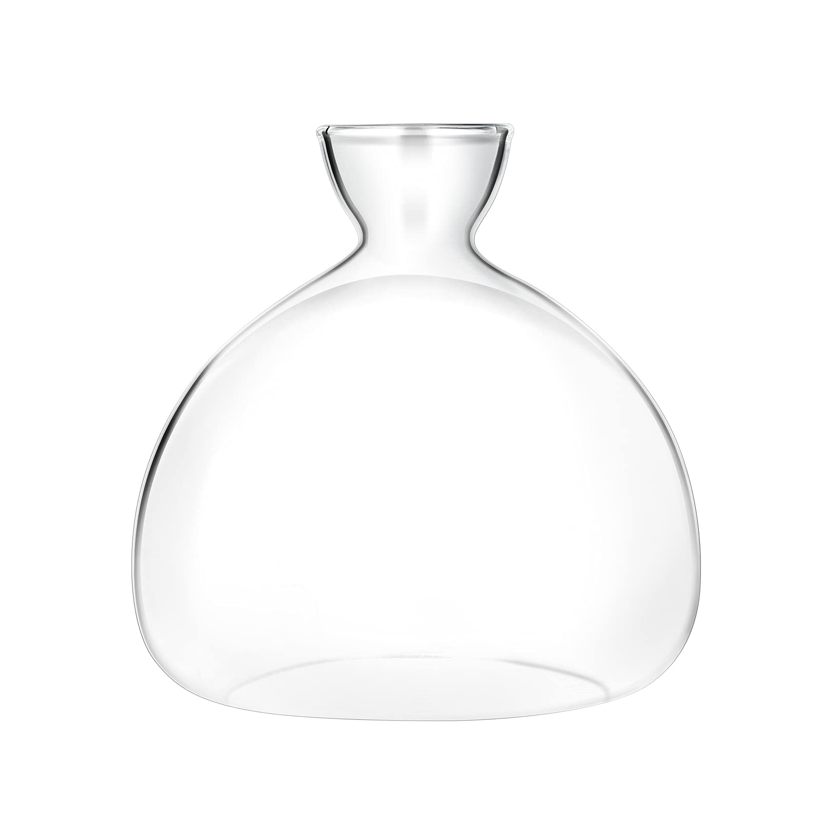 Kit de Culture d'Avocat Vases en Verre - Démarrage de Graines d'Avocat - Cadeaux de Jardinage