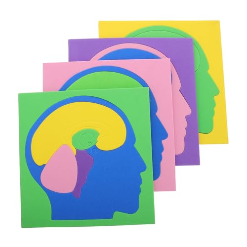 KOMBIUDA 4 Piezas Rompecabezas Cerebral para Rompecabezas del Modelo del Cerebro Rompecabezas para Rompecabezas de anatomía Modelo de Cerebro Juego de Tallo Eva