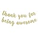 FAIUTA Thank You for Being Awesome Banner,Inspirational Appreciation,Birthday,Friendship, Graduation Banner for Employee,Best Friend,Teacher,Coworkers(Gold)