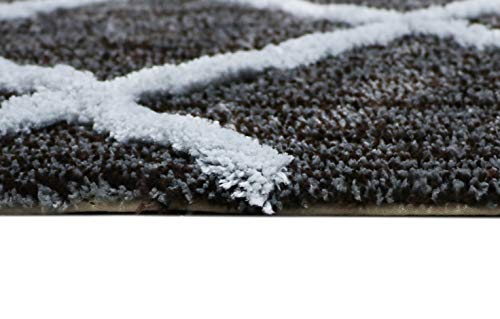 Image of THE HOME TALK Modern Polyester Area Rugs | Carpets for Living Room, Kitchen, Kid's Room, Bedroom | Microfiber Polyester Rugs | Shaggy Floor Carpet | Anti Skid Store (Brown & Grey, 50 x 150 cm)