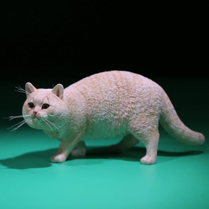 MRZ British Shorthair Cat Statue Cat Figurine for Table Decor Durable Polyresin with Intricate Details Gifts for Mom Women Cat Lovers