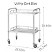 ybaymy Stainless Steel Cart with Wheels, Medical 2 Tier Utility Cart Lab Serving Trolley Clinic Trolley Cart Commercial Grade with Silent Lockable Wheels for Hospital, Restaurant, Kitchen