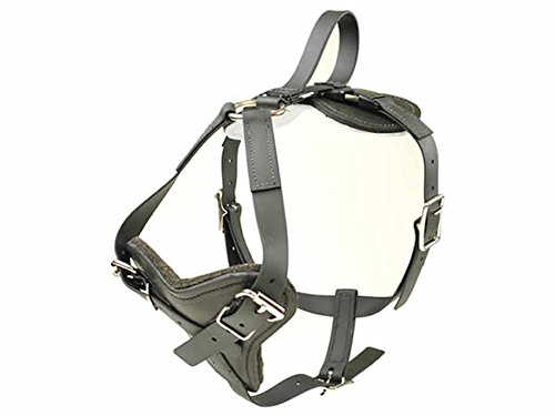 BioThane All Weather Dog Harness with Quick Release (Medium)