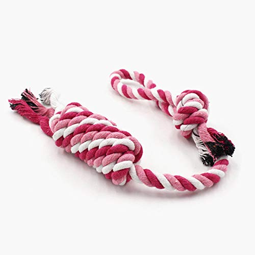    ϋɓIChewers^t[ṽ[v̂́A2F̃N[jO^i팢j푈̌̂᎕̂߂ɑK͂ђK͂̌sł̖ȃ[v̂ Pߋ(Pink)