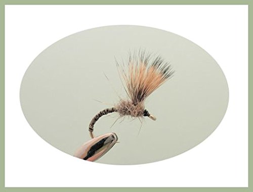 Deer hair Emerger Trout Flies, 6 Per Pack. Choice of Sizes, For Fly Fishing Size 12/14