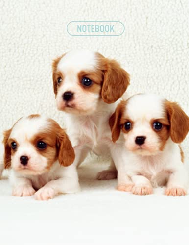 Cavalier King Charles Puppy Notebook: Kids Wide Ruled 200 Page (100 Sheets) Letter Sized (8.5 x 11 inches) Great for a Kids Journal School Notebooks