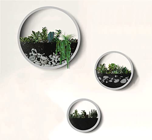 Round Metal Glass Wall Planters 3 Pack,Circle Iron Wall Vase Set,Modern Wall Flower Pots Wall Plant Holder Vertical Container Decor For Artificial Succulent,Herb,Cactus,For Balcony,Room,Patio,White #TOP3
