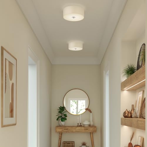 Image of Progress Lighting P3713-09 Inspire Two-Light Flush Mount, Brushed Nickel