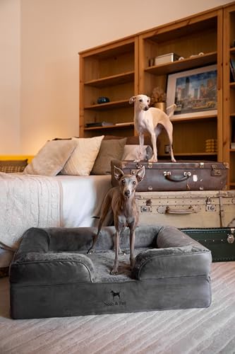 Image of NOAH & PAW Large Dog Bed, 35x25x11 Inch, Orthopedic Dog Beds, Eggshell Memory Foam Infused with Cooling Gel, Inner Cover, Water Resistant, Machine Washable (Velvet Sofa Collection)