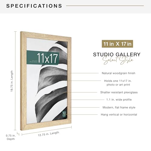 MCS Studio Gallery 11x17 Picture Frame Natural Woodgrain, Rectangle Photo Frame for Photos, Posters & Art Prints (1-Pack)