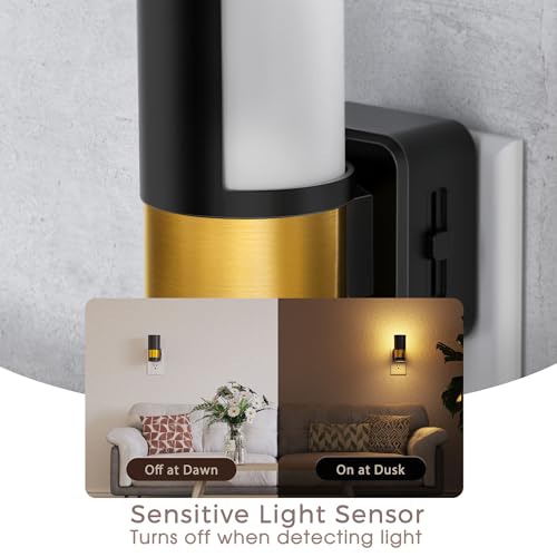 Image of Briignite Night Lights Plug into Wall, 2 Pack Dimmable LED Night Light