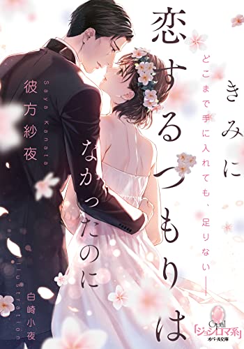 Amazon.co.jp: 彼方 紗夜: 本、バイオグラフィー、最新アップデート