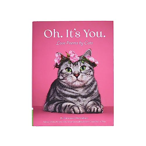 Oh. It's You.: Love Poems by Cats - Image 5