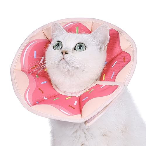 Cat Cones The 15 best products compared Wild Explained