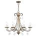 Livex Lighting 40878-48 Daphne Eight Light Chandelier Chandelier Gold, Champ, Gld Leaf