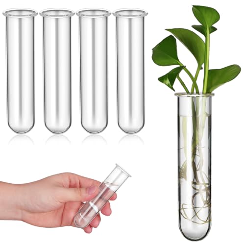 Housoutil 5Pcs Glass Plant Propagation Tubes Vases for Propagation Stations
