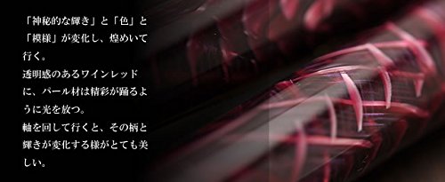 Amazon | 万年筆 Pent〈ペント〉 by 大西製作所 アセテート アーク