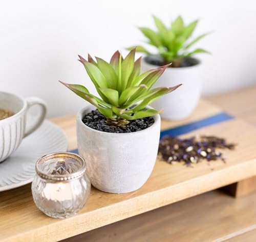 Kurrajong Farmhouse Artificial Plants Indoor | Set of 2 Fake Plants for Desk Decor | Artificial Succulents in pots | Fake Succulents| Faux Plants Indoor | Faux Agave for Shelf Decor